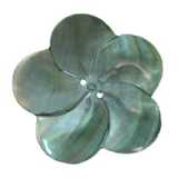 Healing Mother Of Pearl